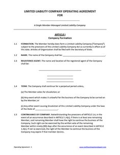 Free LLC operating agreement, available as a Word doc or PDF | DIY 